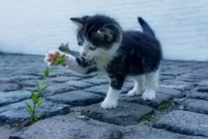 消臭靴下のおすすめランキングはどれ？