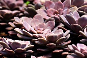 オフィスで足臭いのがバレる前に試すべき対策は？